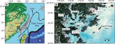 Depositional control on the sulfur content and isotope of sedimentary pyrite from the southeast coast of China since MIS5